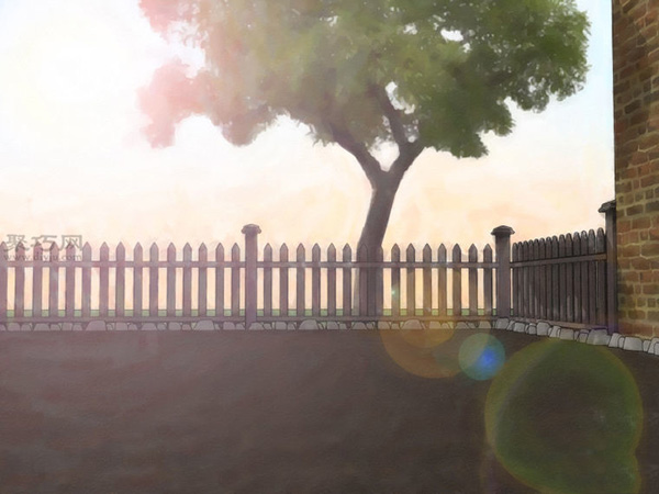 怎样种植萝卜 2