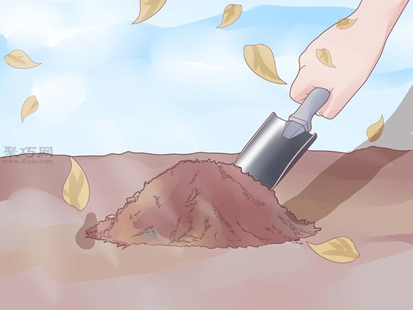 如何打理蒜苗 种植大蒜图解教程