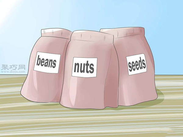 如何种植幼芽 教你种植幼芽教程 - 案例展示图