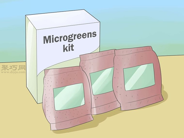 如何种植豌豆苗和沙拉植物 教你种植幼芽的方法 - 案例展示图
