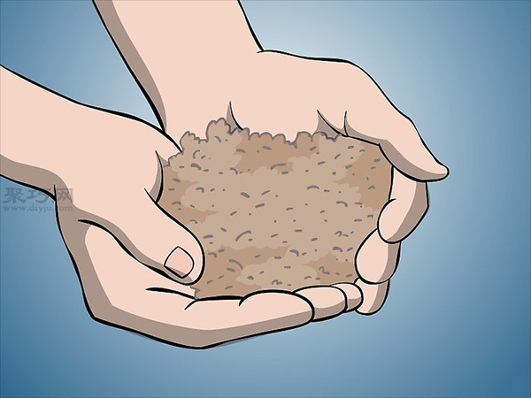 怎么样在花园/草坪上种植苔藓 来看种植苔藓步骤 - 案例展示图