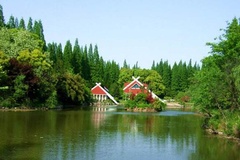 东平森林公园湖景