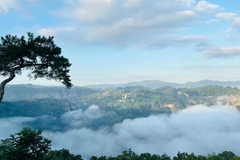 农庄观景台景色