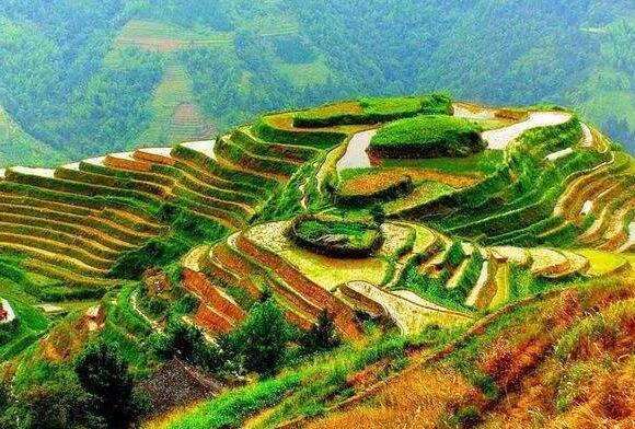 指南村梯田