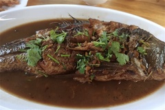 炖鱼
