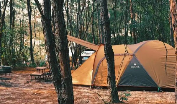 安吉侏罗纪营地