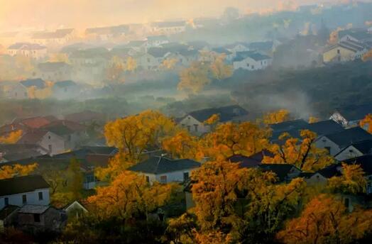宜兴之秋如画,又是一年重阳节(图1) 重阳秋景