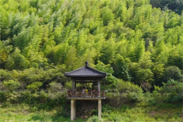 长兴水口乡顾渚村,来一趟青山绿水间的宁静之旅(图1) 水库风景