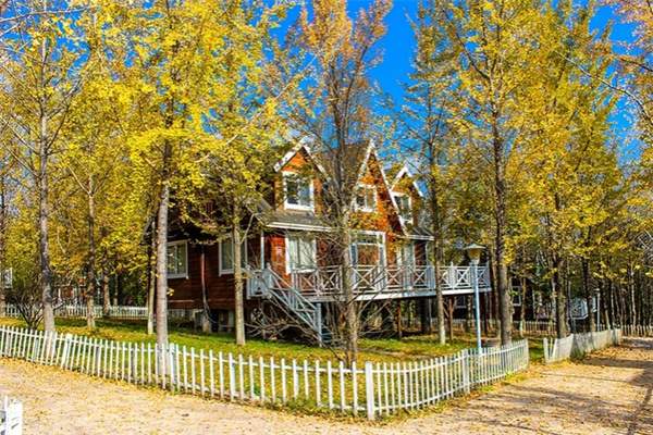 远离喧嚣,到长兴果圣山庄的生态仙境一游(图1) 银杏林