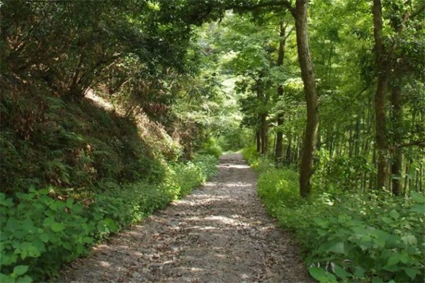 夏日清凉之旅——探寻安吉菖蒲谷的美丽与宁静(图1) 菖蒲谷风景