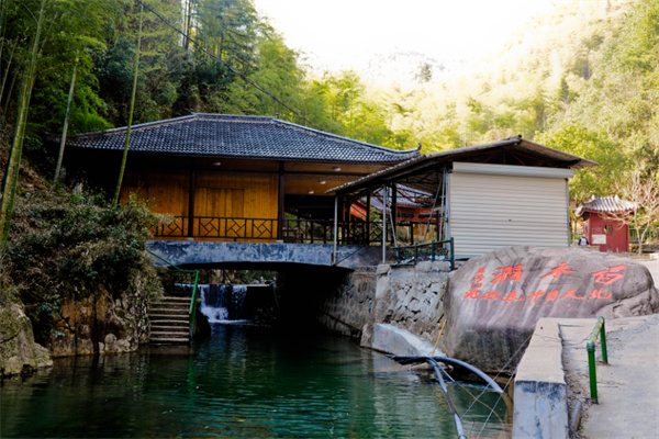夏日在白水涧的茶道寻源之旅(图1) 临安白水涧
