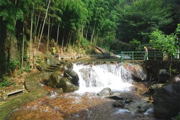 夏日在白水涧的茶道寻源之旅(图3) 竹林和小溪