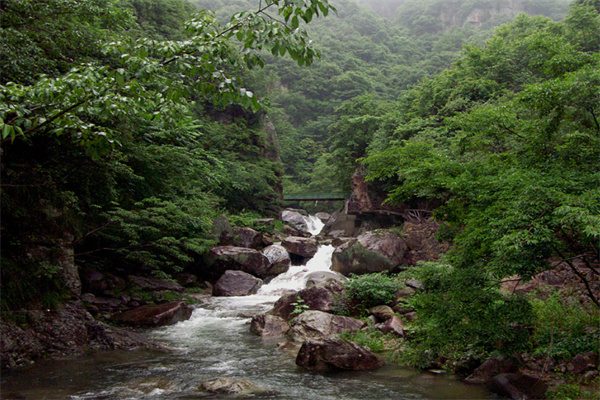夏日在白水涧的茶道寻源之旅(图2) 白水涧溪流
