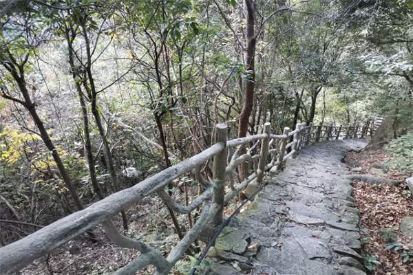 磐安百杖潭——自然之美的静谧所在(图4) 山间小道