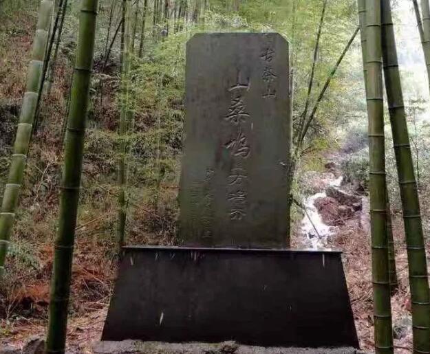 赏宜兴四条岭,感受贡茶古道文化(图3) 贡茶古道上的石碑