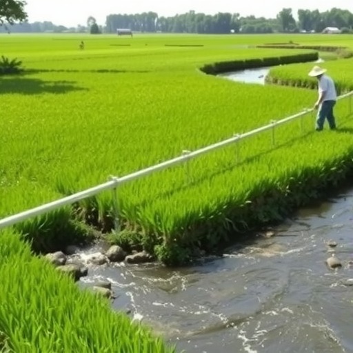 绿水青山间的“优等生”如何练就？(图1)