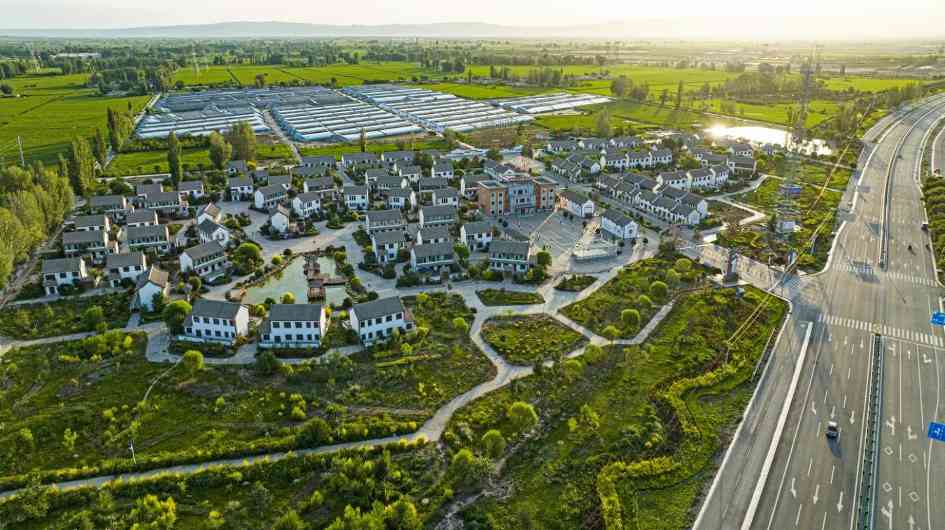 从“单打独斗”到“百花齐放”：甘肃甘州232家村集体公司营收两年增长超5倍(图1)