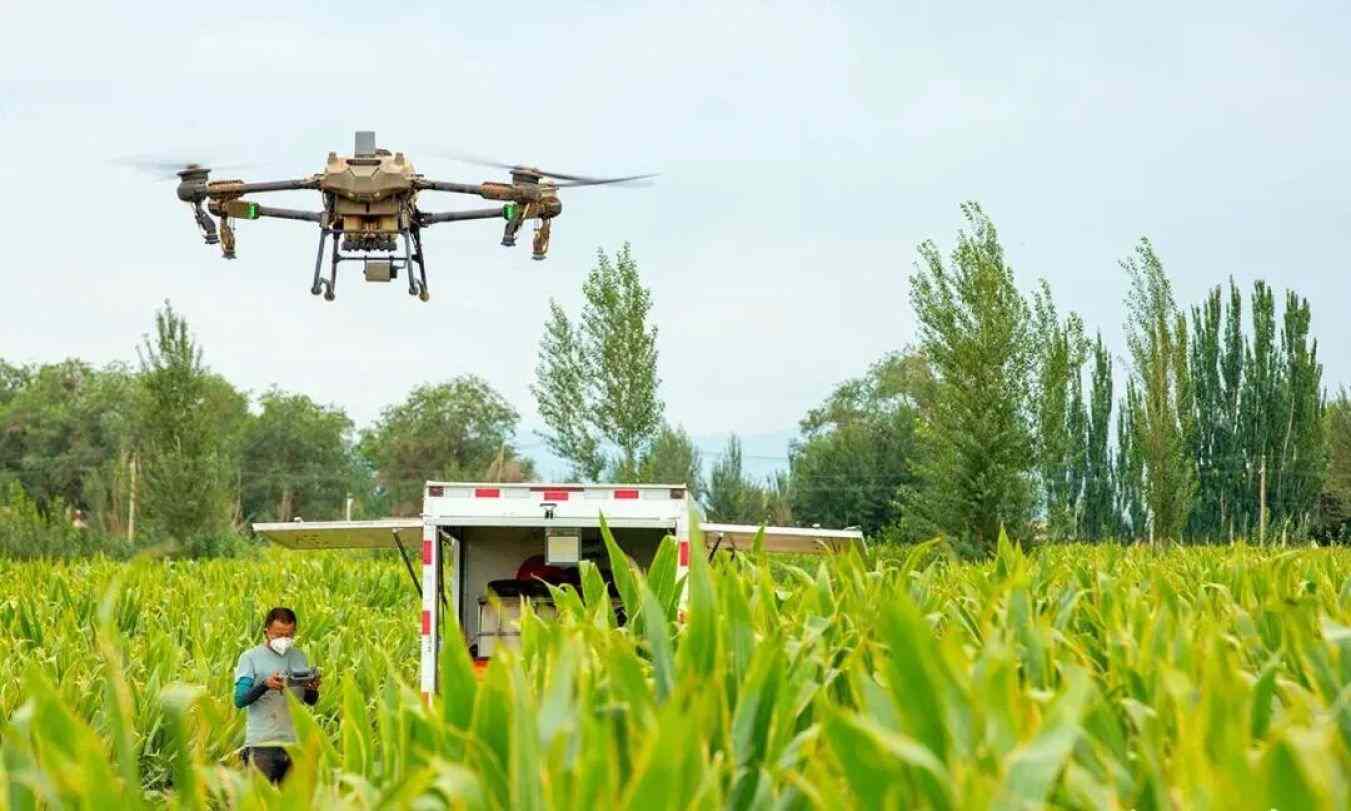 从“单打独斗”到“百花齐放”：甘肃甘州232家村集体公司营收两年增长超5倍(图2)