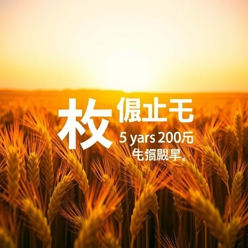 5年累计推广200万亩 “博士农场”麦种“丰”行记(图2)