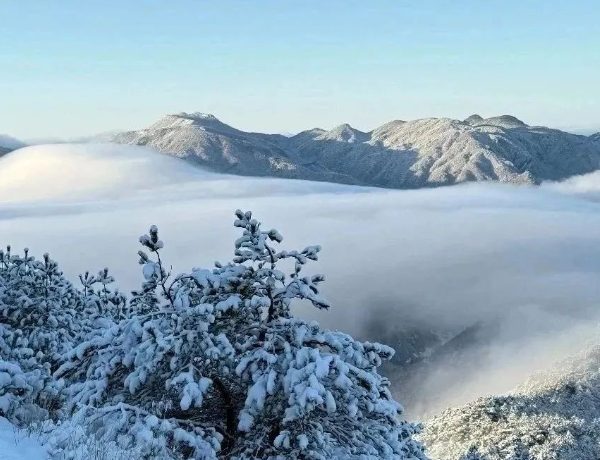 临安悄然而来的一场雪(图1) 山中雪景