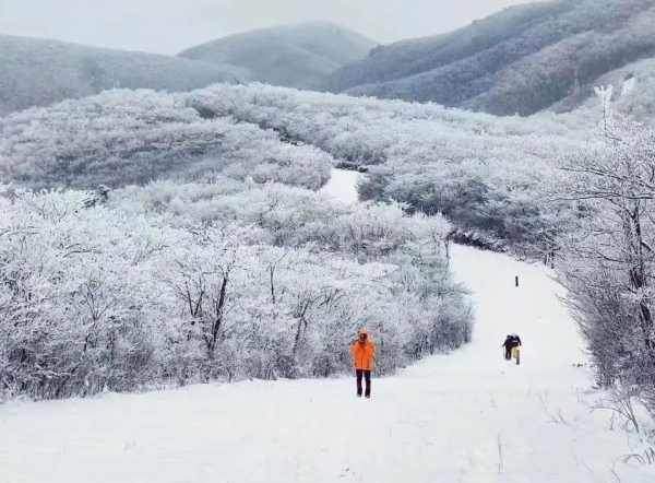 安吉滑雪正当时!奔赴“热”雪,点燃冬日!(图1) 安吉冬季