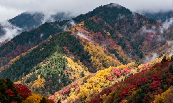 群山秋景