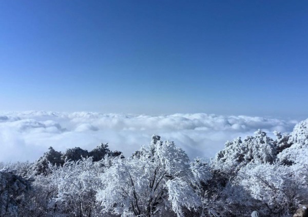 浙北第一峰徒步指南:安吉龙王山路线、装备与安全全攻略(图2) 龙王山云海