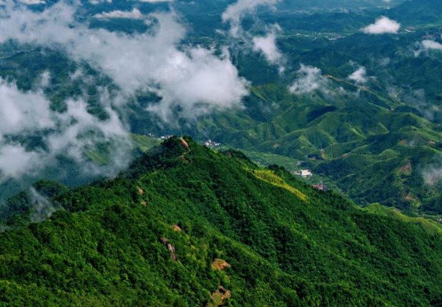 把开学焦虑,扔进临安的山河里!(图8) 天目山国家森林公园