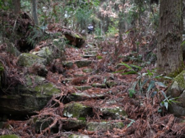古道台阶