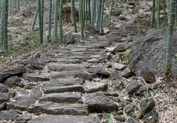 南坞山古道