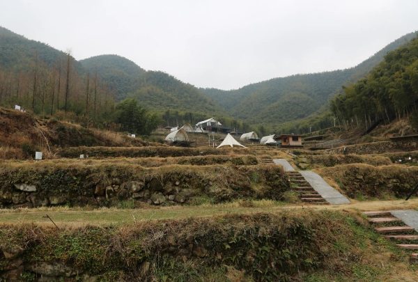 安吉“四普新文物之树景坞梯田(图2) 梯田近景