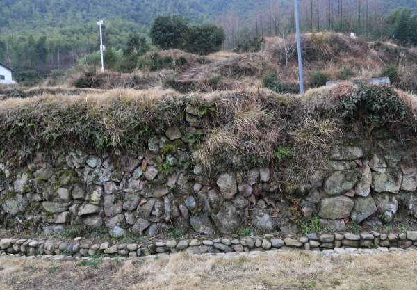 安吉“四普新文物之树景坞梯田(图4) 梯田的石砌筑