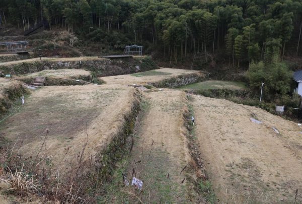 安吉“四普新文物之树景坞梯田(图5) 安吉的梯田