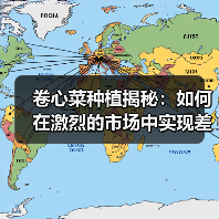 卷心菜种植揭秘：如何在激烈的市场中实现差异化竞争