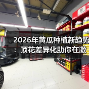 2026年黄瓜种植新趋势：顶花差异化助你在激烈竞争中突围