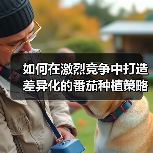 如何在激烈竞争中打造差异化的番茄种植策略2026年全新指南