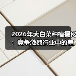 2026年大白菜种植揭秘：竞争激烈行业中的差异化策略