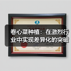 卷心菜种植：在激烈行业中实现差异化的突破之道（图2）