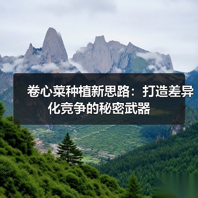 卷心菜种植新思路:打造差异化竞争的秘密武器(图2) 卷心菜种植新思路:打造差异化竞争的秘密武器(图2)