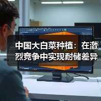 中国大白菜种植：在激烈竞争中实现耐储差异化的秘诀