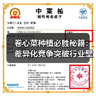 卷心菜种植必胜秘籍：差异化竞争突破行业壁垒（图3）
