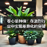 卷心菜种植：在激烈行业中实现差异化的突破之道（图1）