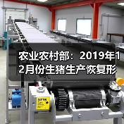 农业农村部：2019年12月份生猪生产恢复形势继续向好（图4）