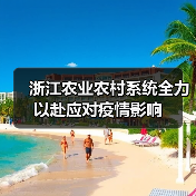 浙江农业农村系统全力以赴应对疫情影响（图3）