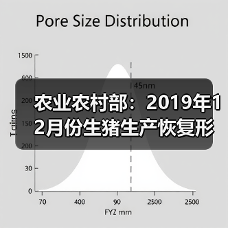 农业农村部：2019年12月份生猪生产恢复形势继续向好（图1）