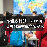 农业农村部：2019年12月份生猪生产恢复形势继续向好（图2）