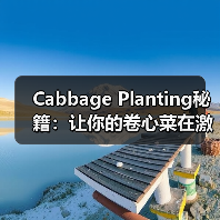 Cabbage Planting秘籍：让你的卷心菜在激烈行业中脱颖而出（图1）