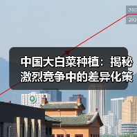 中国大白菜种植：揭秘激烈竞争中的差异化策略与未来趋势（图4）