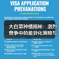 大白菜种植揭秘:激烈竞争中的差异化策略与新趋势(图3) 大白菜种植揭秘:激烈竞争中的差异化策略与新趋势(图3)