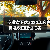 安徽省下达2020年度高标准农田建设任务(图1) 安徽省下达2020年度高标准农田建设任务(图1)